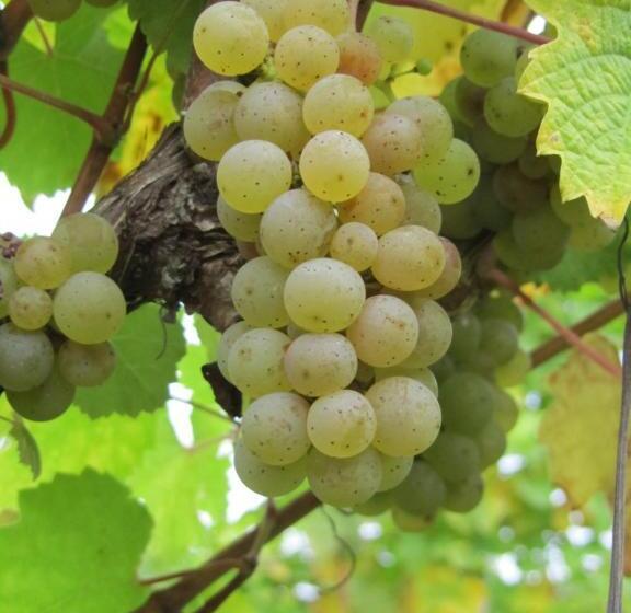 호텔 Juffer Flair Restaurant Gästehaus