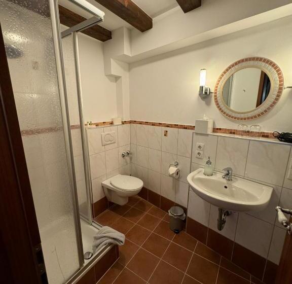 בית מלון כפרי Kleine Villa Rose