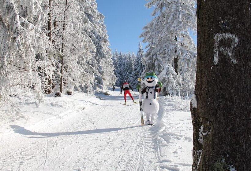 Konsum Gästehaus Quisisana Nebenhaus Des Konsum Berghotel Oberhof