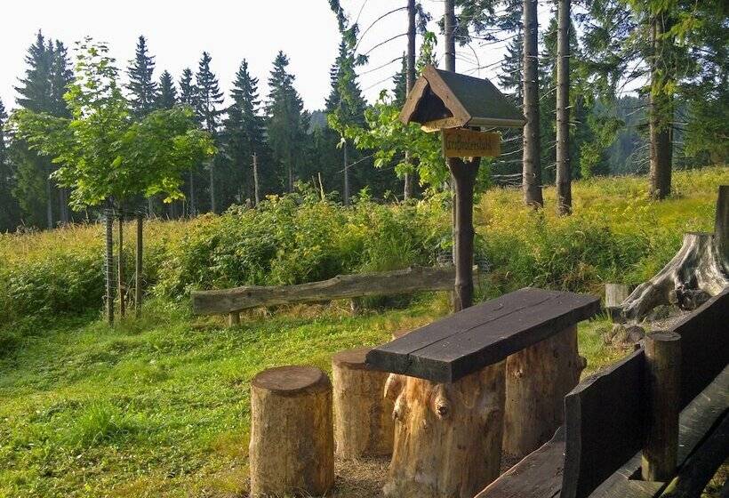 Konsum Gästehaus Quisisana Nebenhaus Des Konsum Berghotel Oberhof