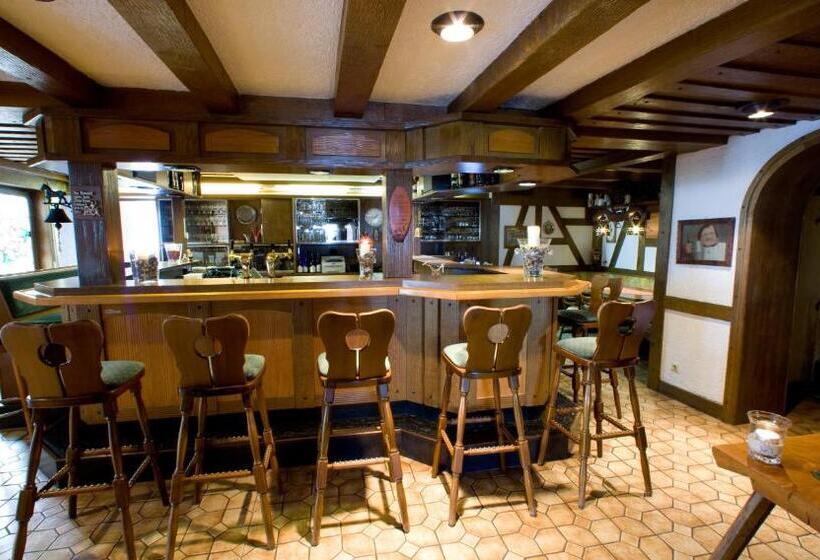 酒店 Landgasthof Rebstock