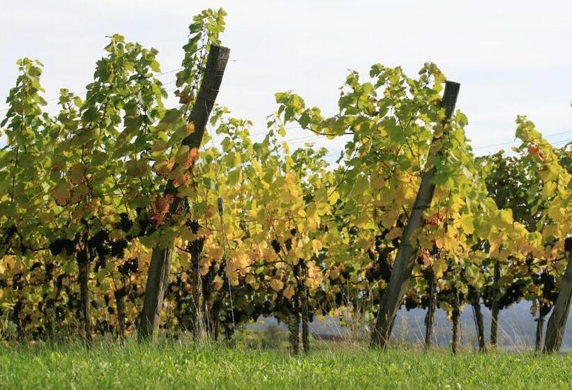 هتل Landgasthof Sonne