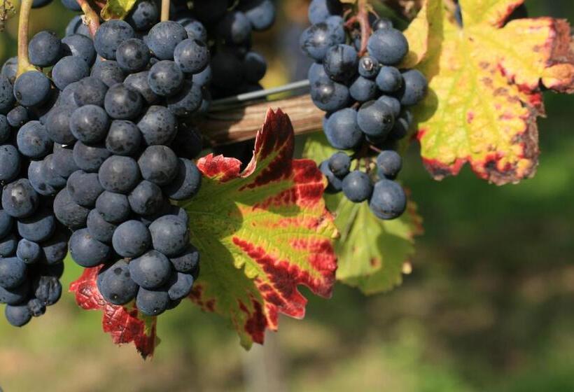 هتل Landgasthof Sonne