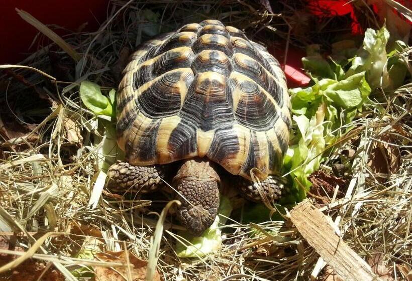 هتل Landgasthof Sonne