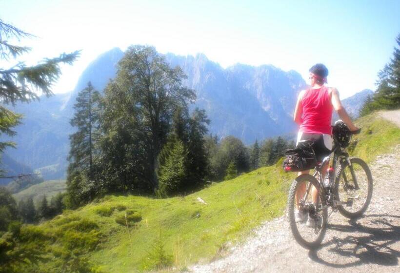 Отель Landhaus Lenzenhof