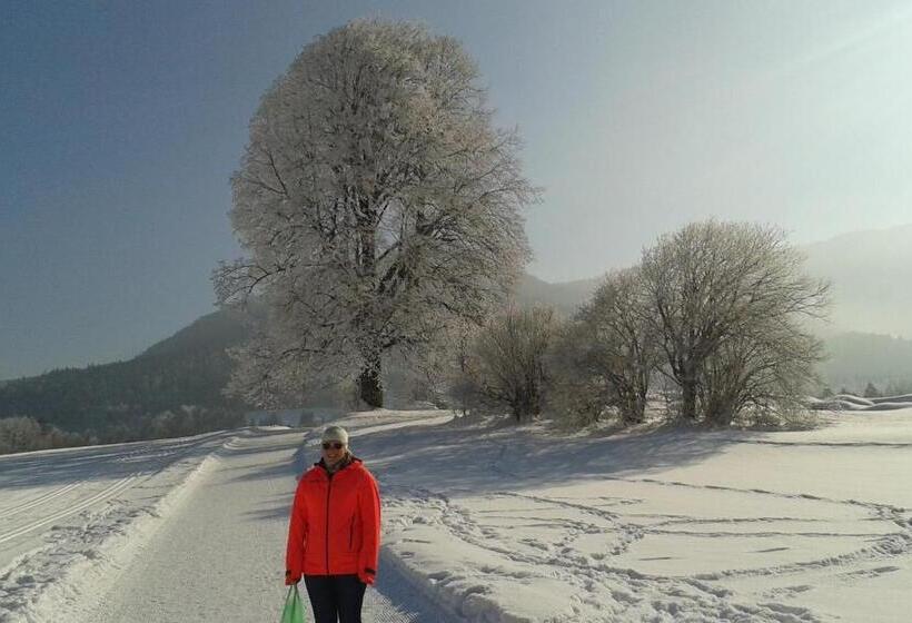 Отель Landhaus Lenzenhof