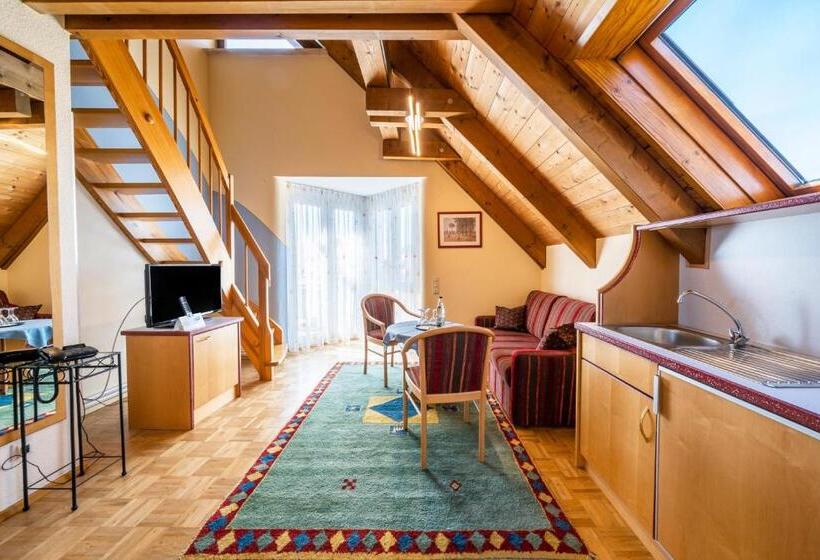 Отель Meschenmoser