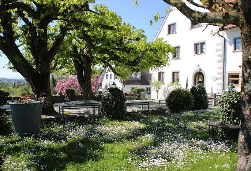 فندق Montfort Schlössle