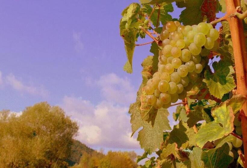 בית מלון כפרי Panorama Café Moselgarten