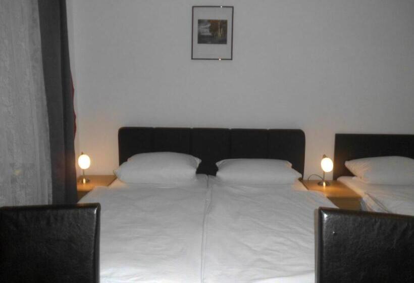 هتل Pension Dorma