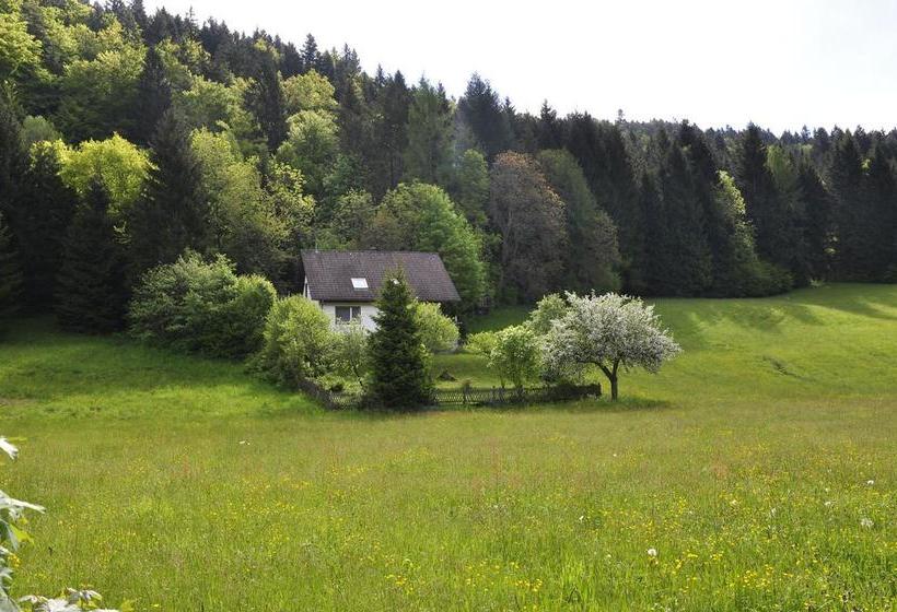 Отель Pension Gasthaus Zur Schmiede