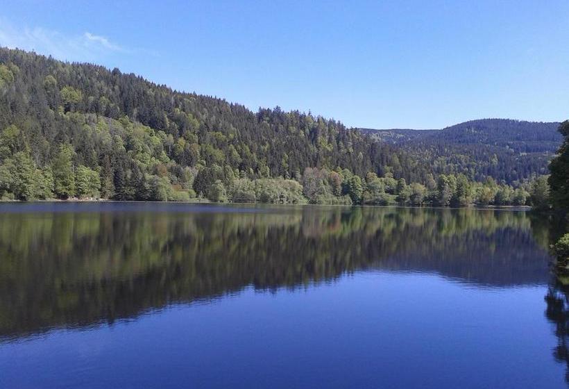 Отель Pension Gasthaus Zur Schmiede