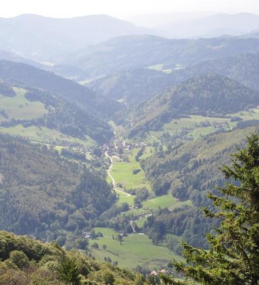 Отель Pension Gasthaus Zur Schmiede