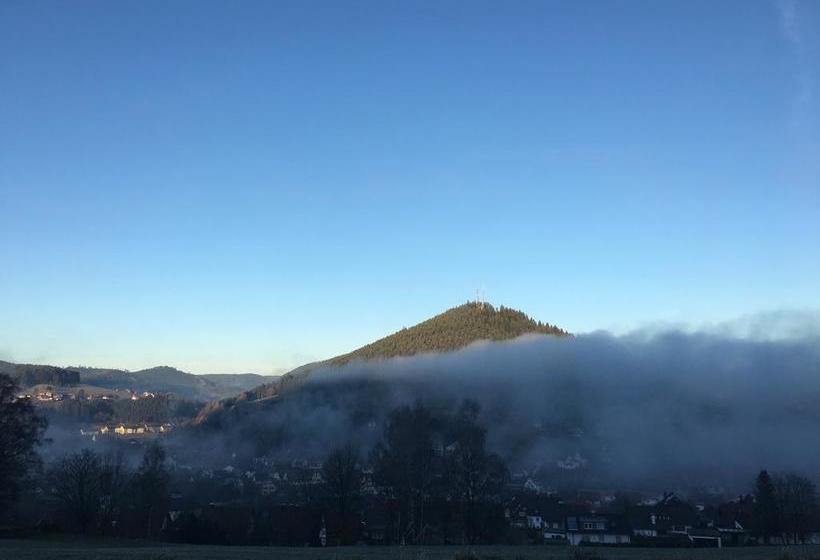 호텔 Pension Sonnenstube