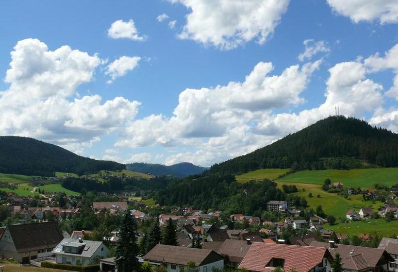 호텔 Pension Sonnenstube