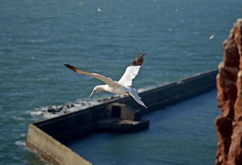 בית מלון כפרי Quisisana & Appartements Quisi