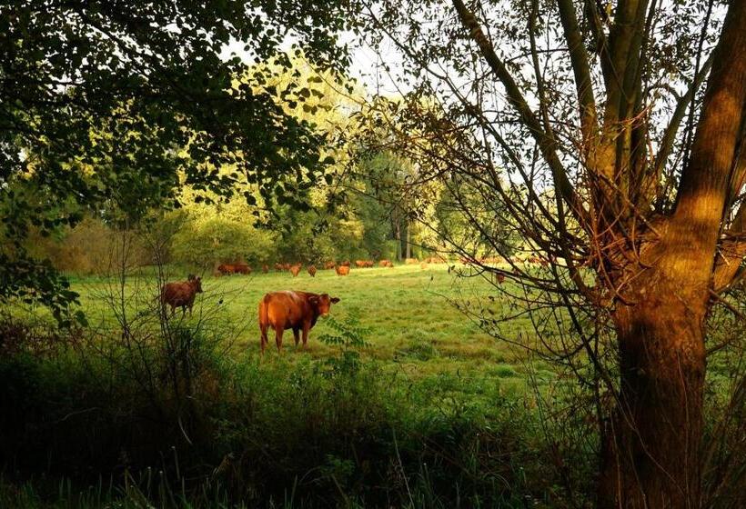 Отель Radduscher Hafen