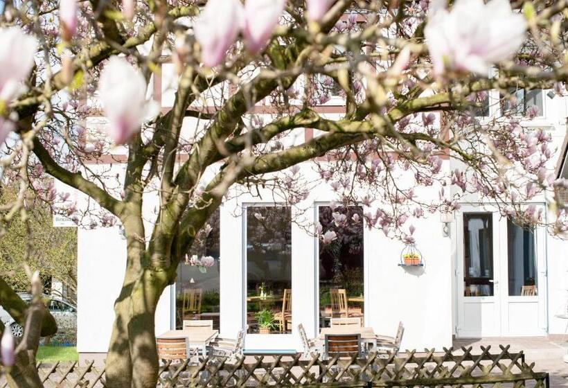 Отель & Restaurant   Gasthaus Brandner