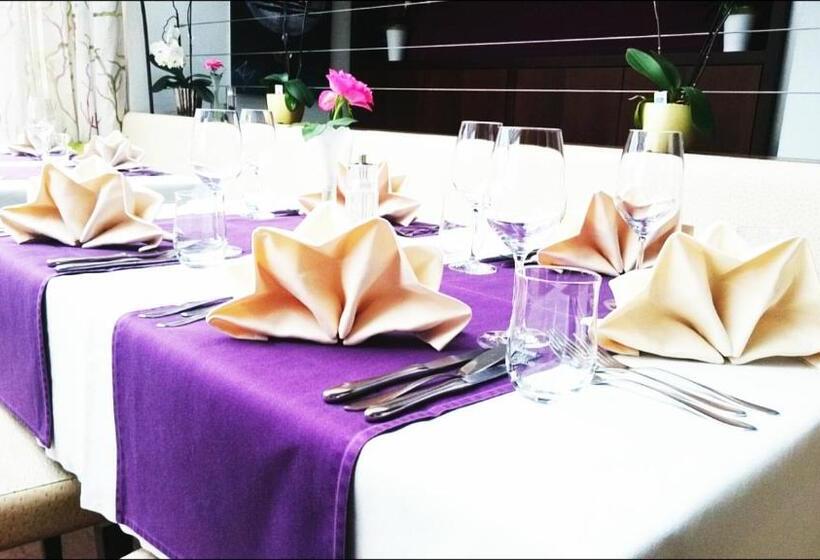 Отель Restaurant Bellevue