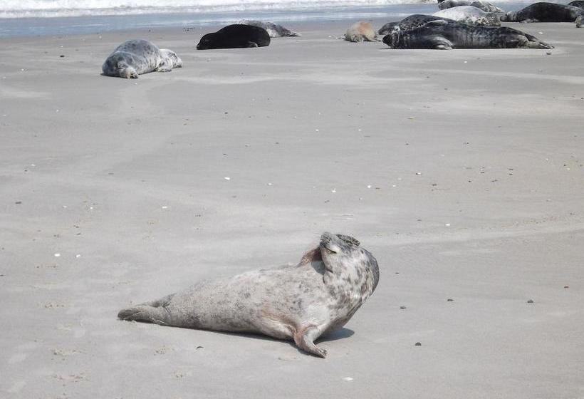 בית מלון כפרי Rungholt