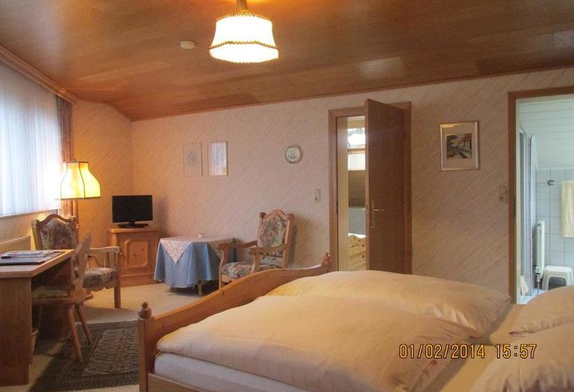 ホテル Schauenburg