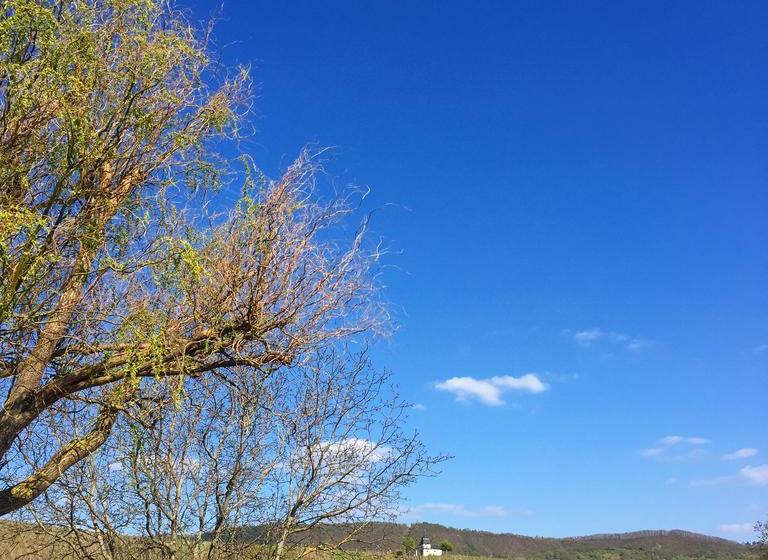 Отель Gästehaus Sektstuuf St. Laurentius