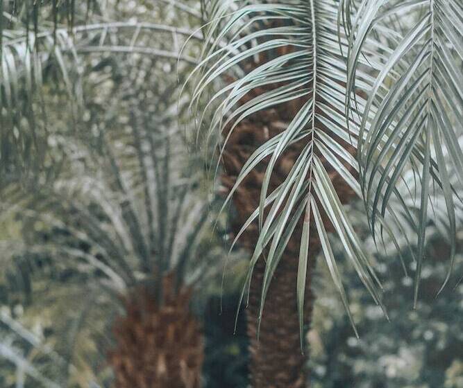 Villa Pruly Hotel Cannes Centre