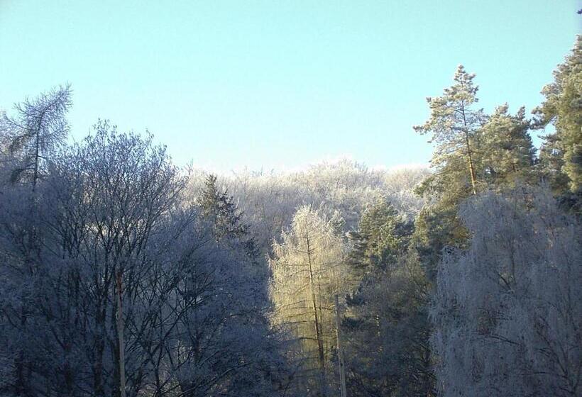 ホテル Waldgaststätte Sennhütte