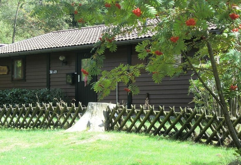 فندق Waldsee Feriendienst  Ferienpark Am Waldsee