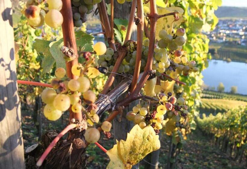 فندق Weingut Lehnert Veit Guts