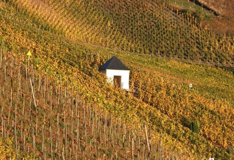 فندق Weingut Lehnert Veit Guts