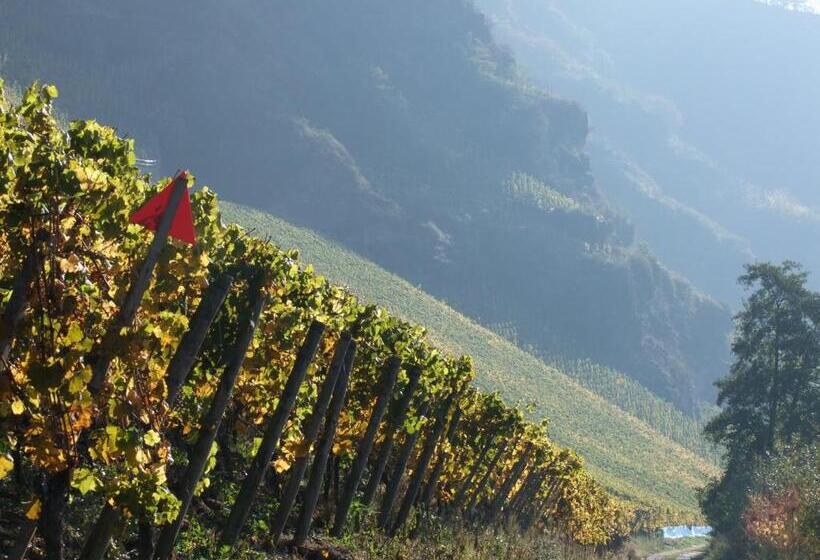 فندق Weingut Lehnert Veit Guts