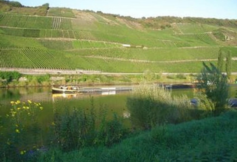 호텔 Weinhaus Weis