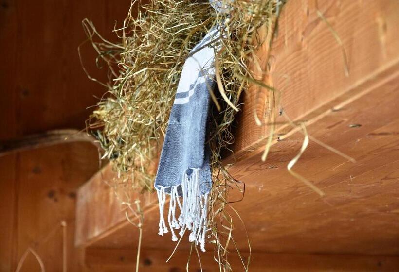 호텔 Wellnessgarten