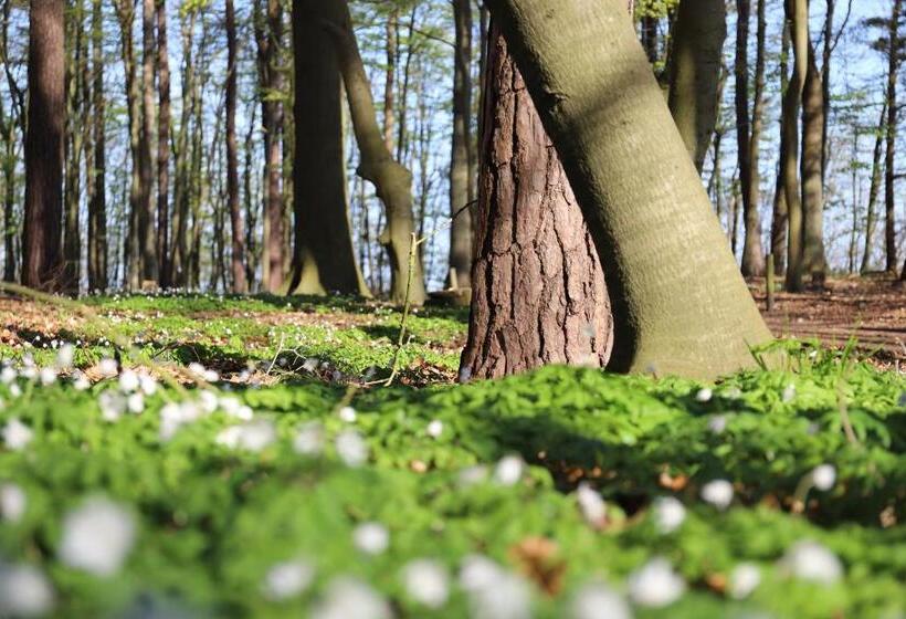 בית מלון כפרי Wilhelmshöhe