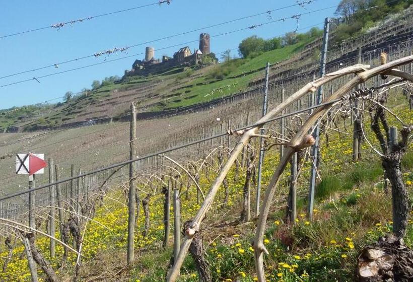 בית מלון כפרי Winzerhof Brachtendorf