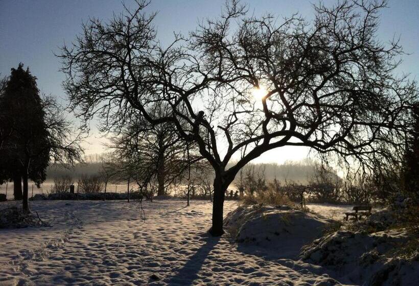 Отель World House Wetten