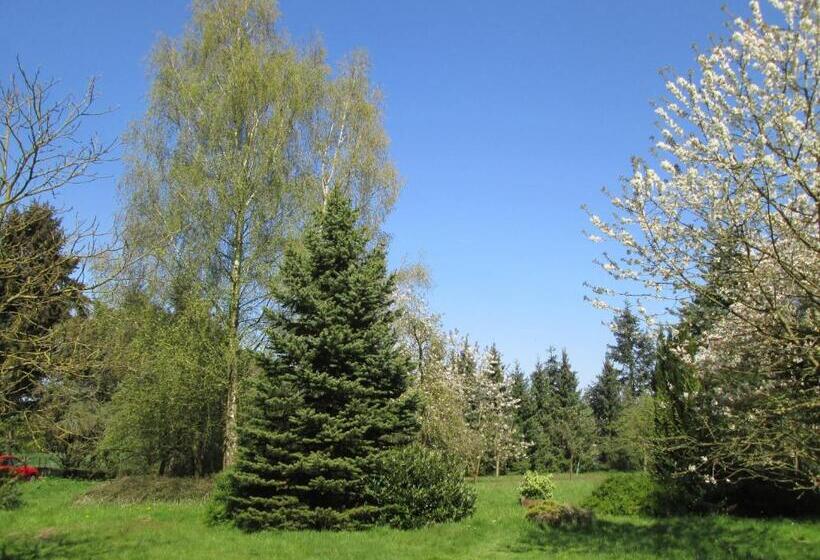 Отель World House Wetten