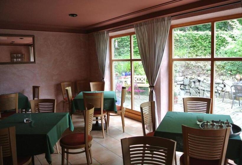 酒店 Zwieseler Waldhaus