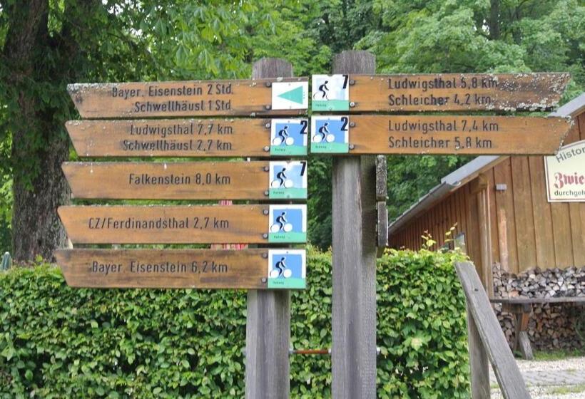 Отель Zwieseler Waldhaus