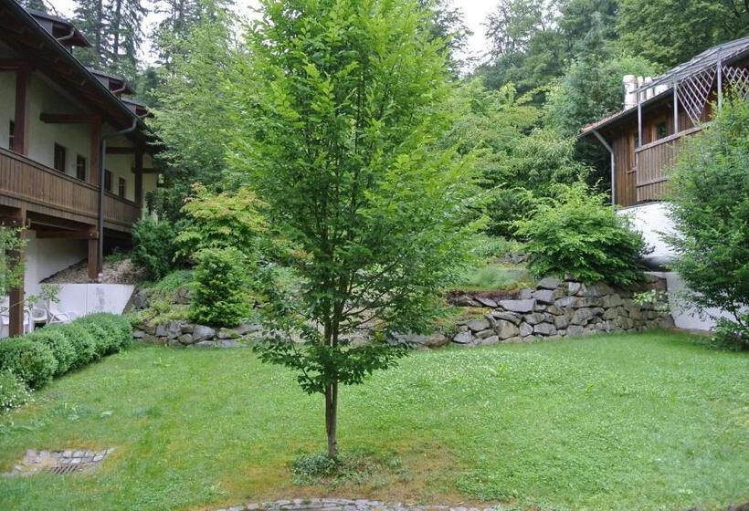 Отель Zwieseler Waldhaus