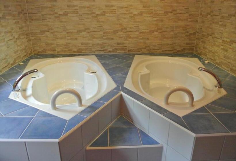 酒店 Zwieseler Waldhaus