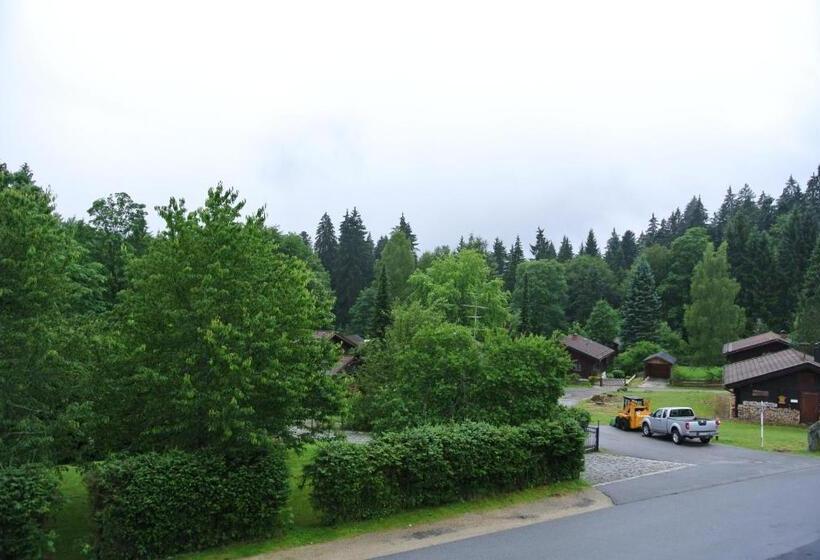 ホテル Zwieseler Waldhaus