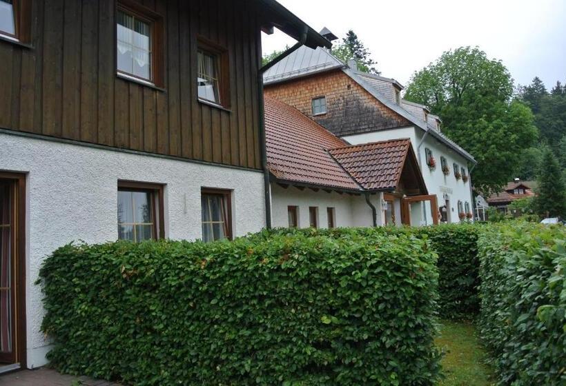 Отель Zwieseler Waldhaus