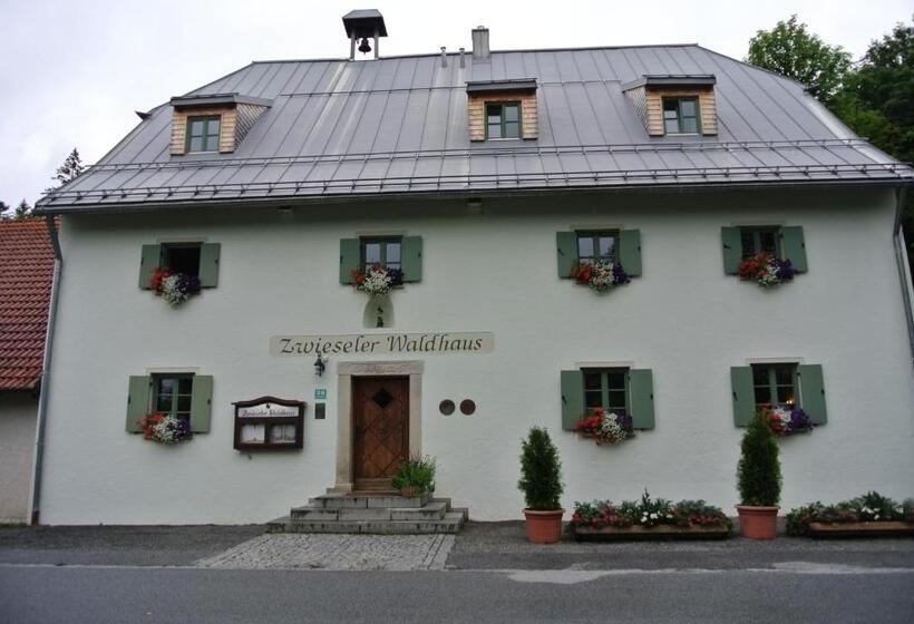 酒店 Zwieseler Waldhaus