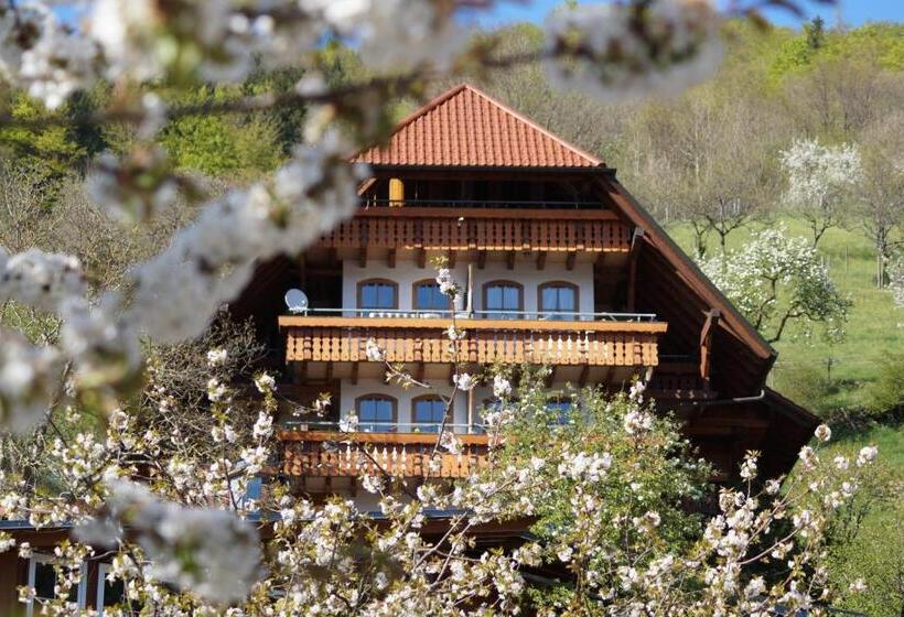 Kurparkhotel Faißt