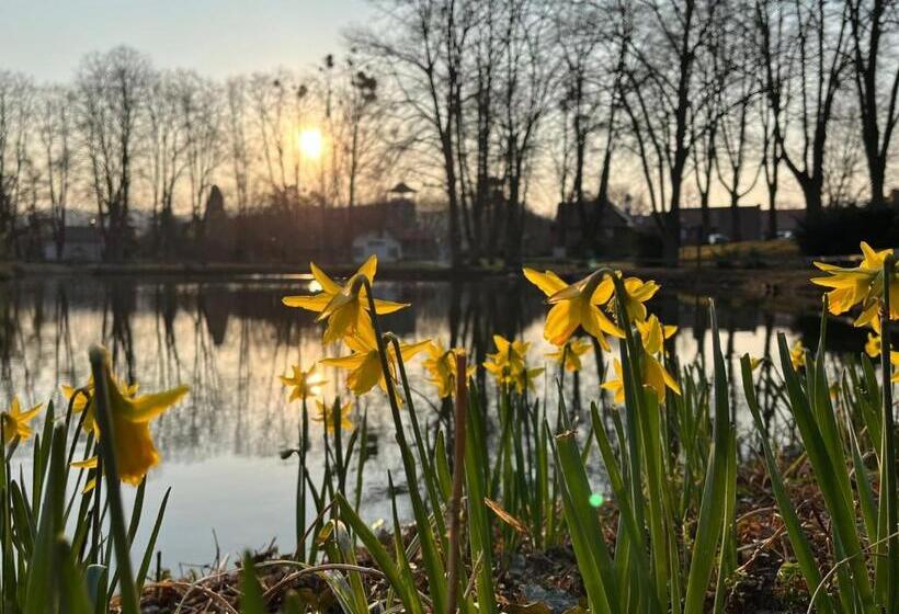 Parkhotel Am Schwanenteich