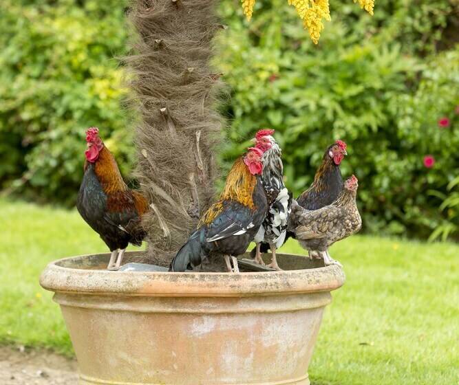 펜션 Château De Pont Rilly