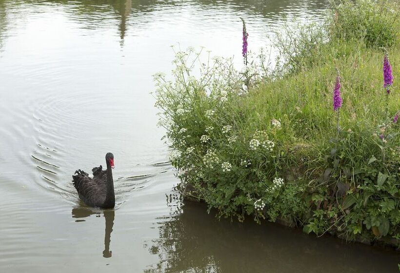 펜션 Château De Pont Rilly