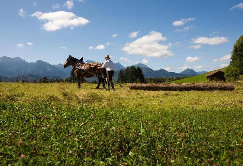 Seehotel Hartung & Ferienappartements